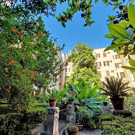Amm Luxury Rome