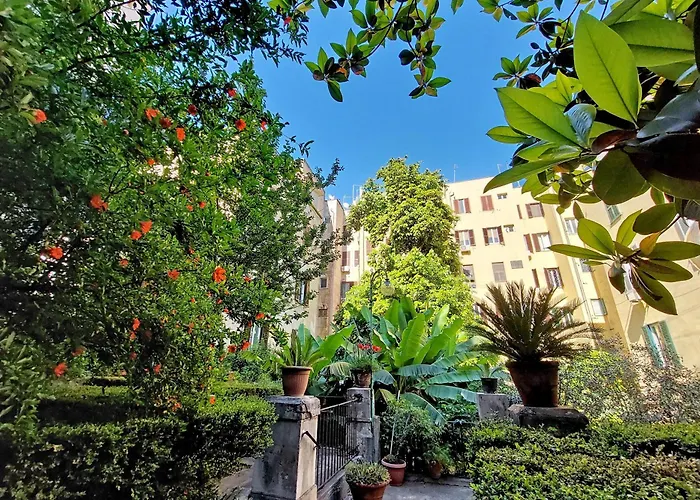 Amm Luxury Roma